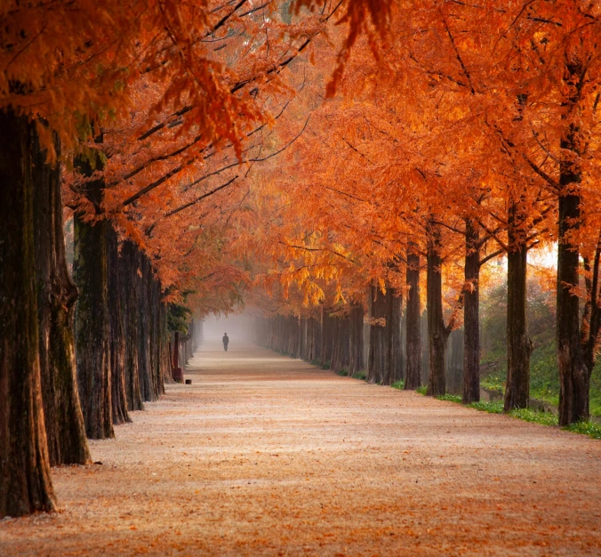 Gadgets voor winter, zomer, herfst en lente
