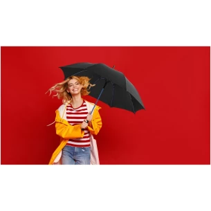 Stark windproof paraplu - Wit
