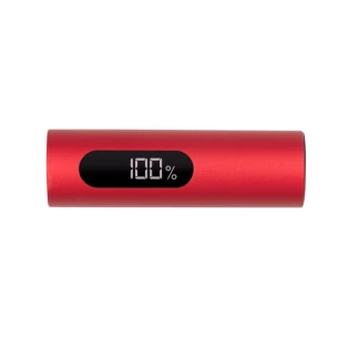Powerbank 10000 mAh Walt - rood
