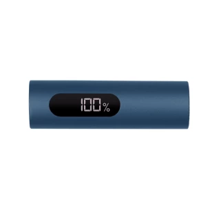 Powerbank 10000 mAh Walt - marineblauw