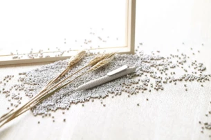 ETNO-balpen - beige