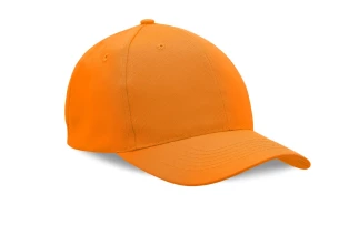 Pet Standaard - Oranje
