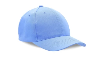 Pet Standaard - Blauw